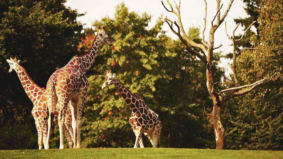 Milwaukee County Zoo Milwaukee, Wisconsin